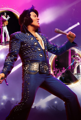 A Vision of Elvis